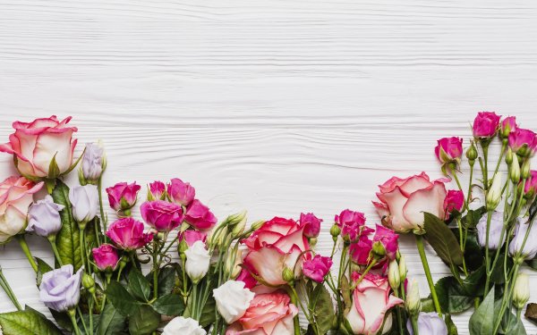 Фотофон эустома