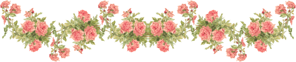 Цветочные бордюры на прозрачном фоне