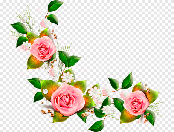 Цветы угловые красивые