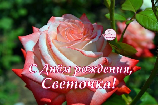 Цветы для Светы