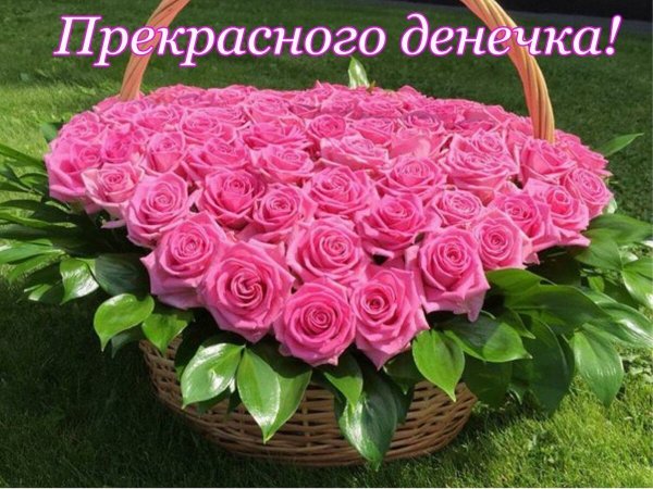 Открытки для Светланы