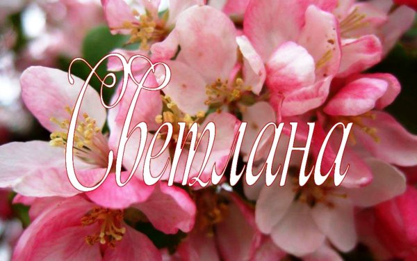 Прекрасной Светлане цветы