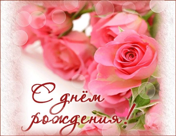 Открытки ромашки для очаровашки