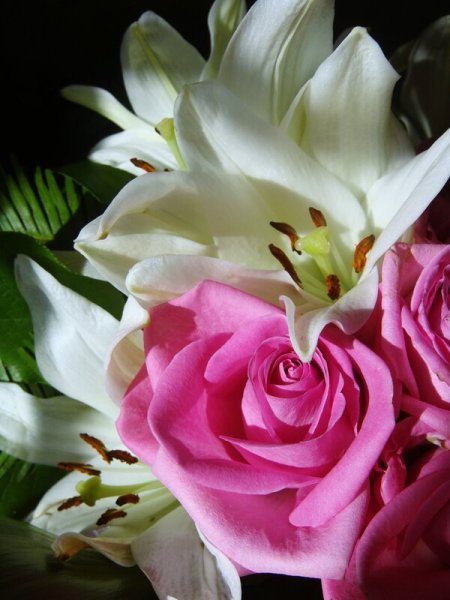 Открытка самой обаятельной и привлекательной