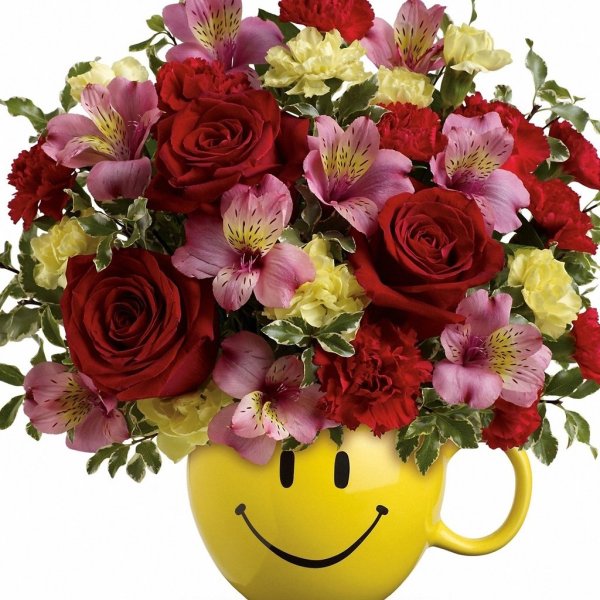 Света с днём рождения поздравления