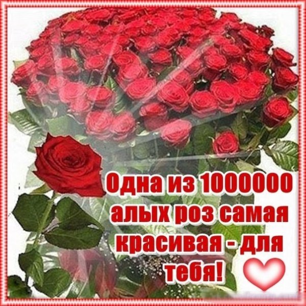 Открытки Светик приветик