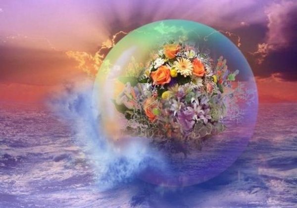 Зеленый мир вокруг нас