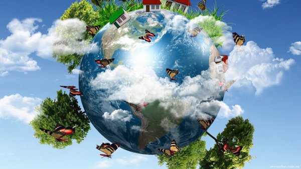 Планета в цветах