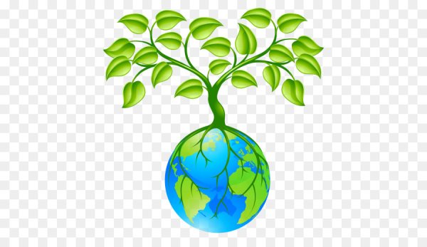 Зеленый план