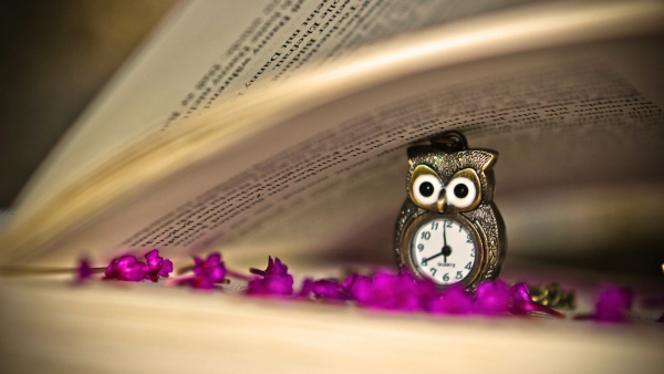 Цитаты про цветы