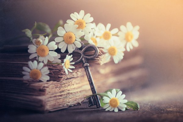 Фантастические цветы