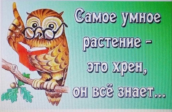 Стихи любимому сыну