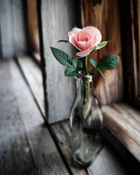 Дети наблюдают