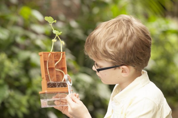 Гармония природы