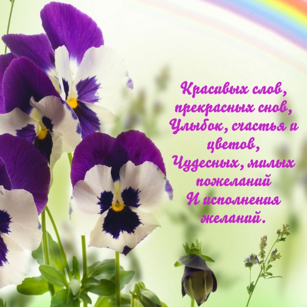 Пожелания, высказывания