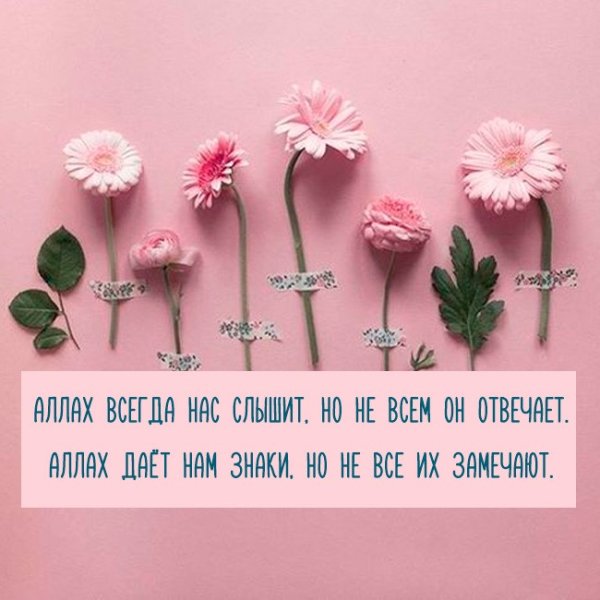 Жизненные пожелания с добрым утром