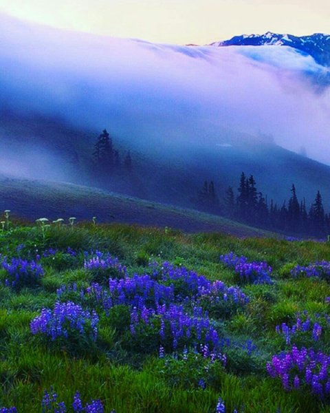 Позитивные цитаты для поднятия настроения