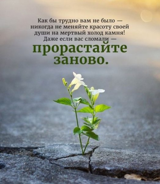 Красивые открытки с мудрыми мыслями