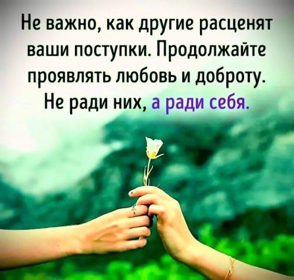 Открытки с орхидеями