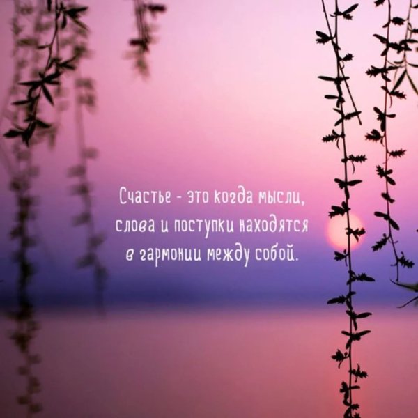 Совет дня Мудрые