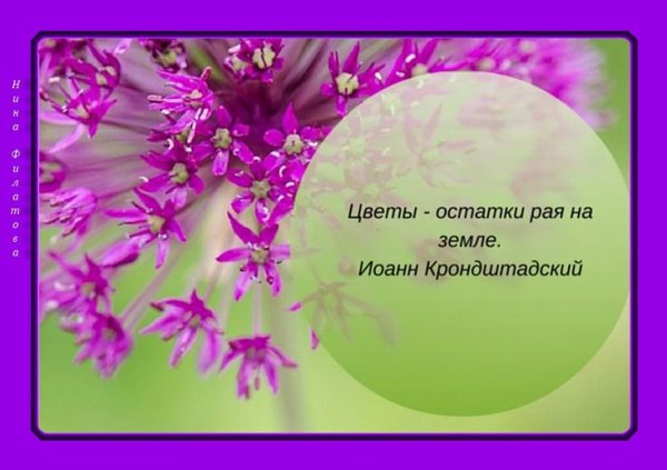 Мудрые высказывания с добрым утром