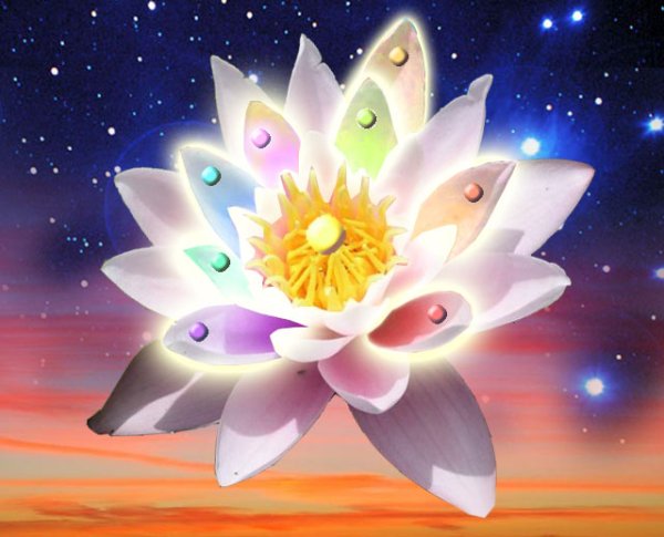 Волшебный цветок для детей