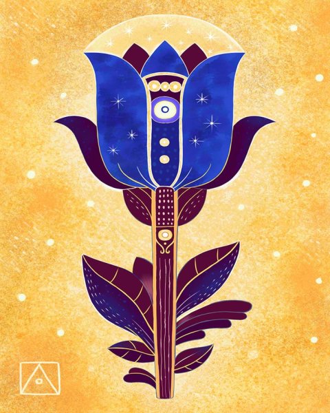 Волшебный цветок на прозрачном фоне