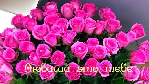 С днём рождения Люба