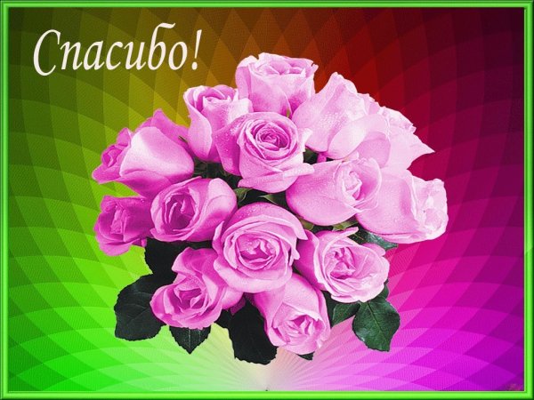 Розы для Любы