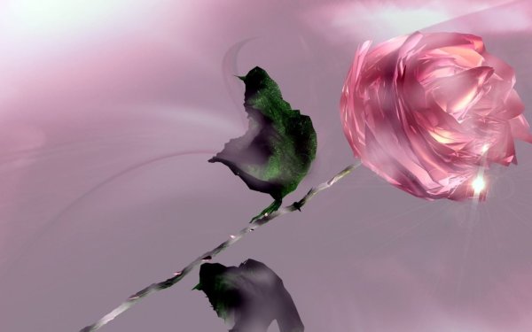 Цветы для подруги