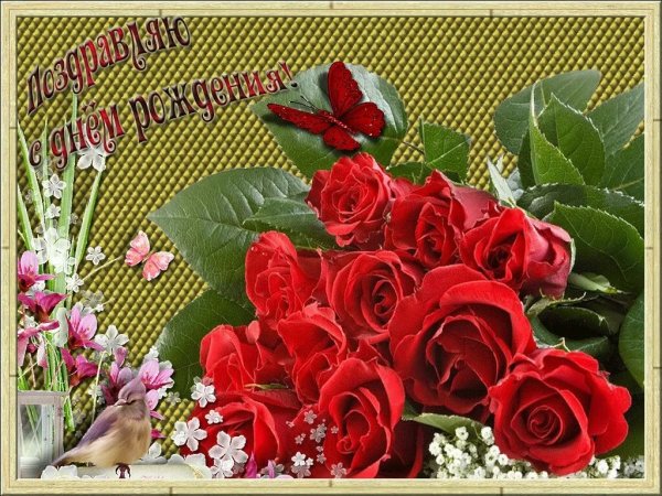 Цветы розы букет