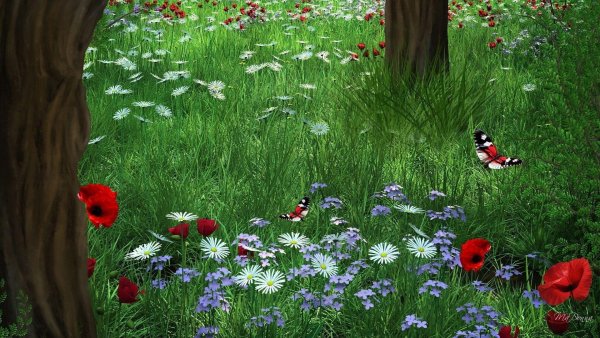 Голубое небо с радугой