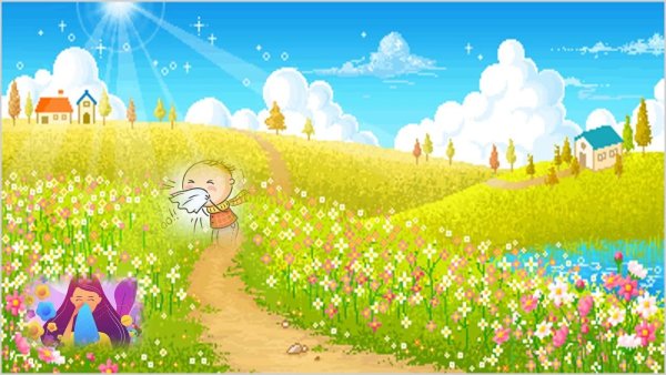 Лето цветы на Поляне