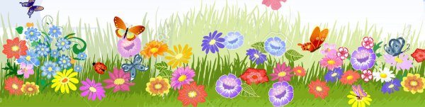 Поляна цветов