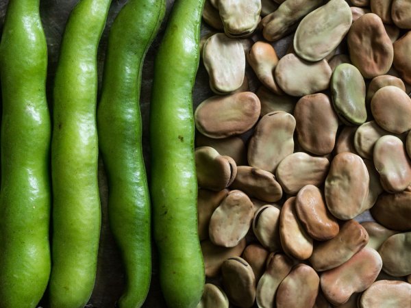 Бобы семена Фава