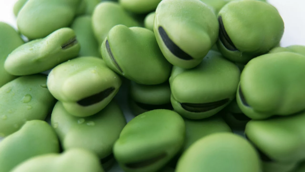 Боб и стручок