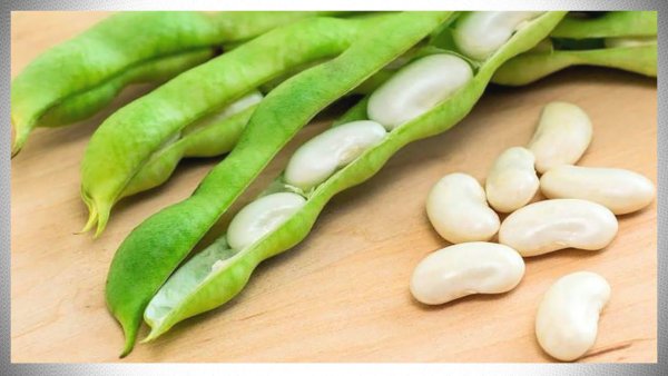 Бобы русские черные