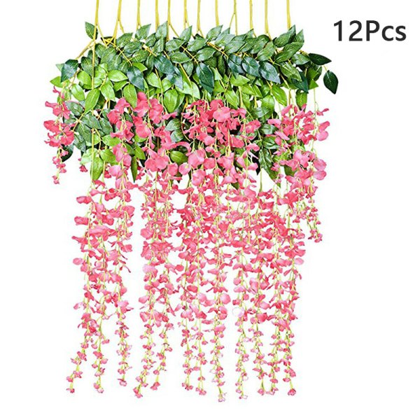 Плющ Глициния