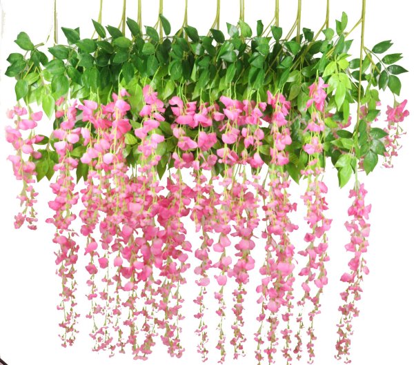 Ампельная роза