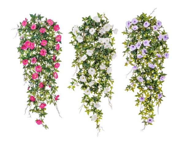 Ампельная каскадная Орхидея