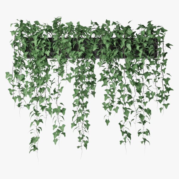 Свисающие лианы