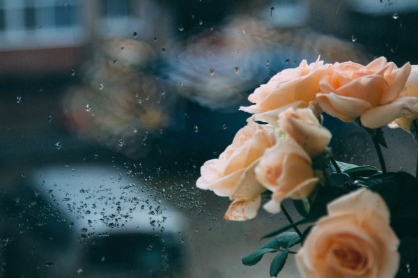 Цветы грусти