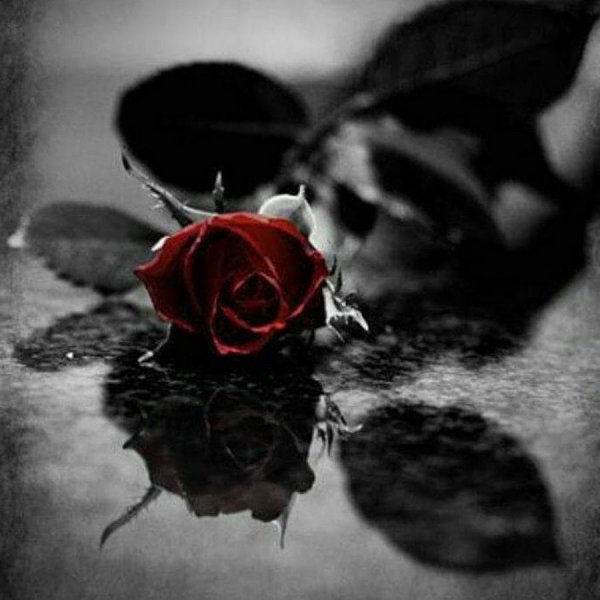 Грустный цветок