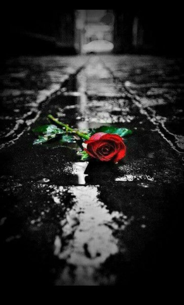 Девушка в цветах