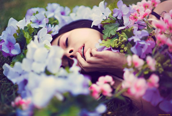 Одинокий цветок под дождем