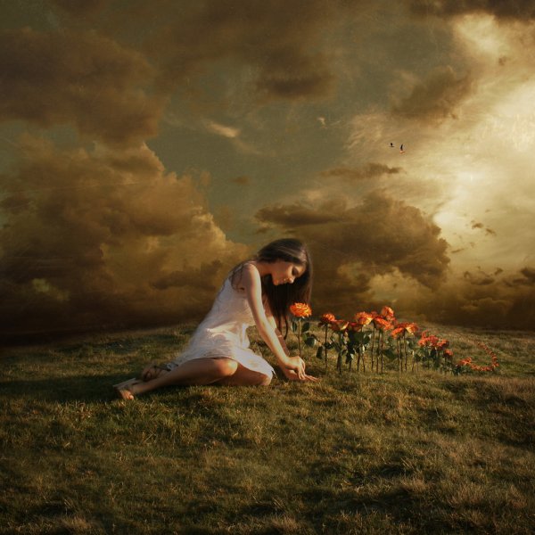 Девушка в поле Эстетика