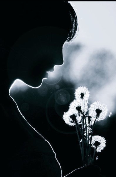 Цветы грусти