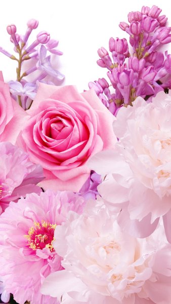 Оранжевый с белым в природе