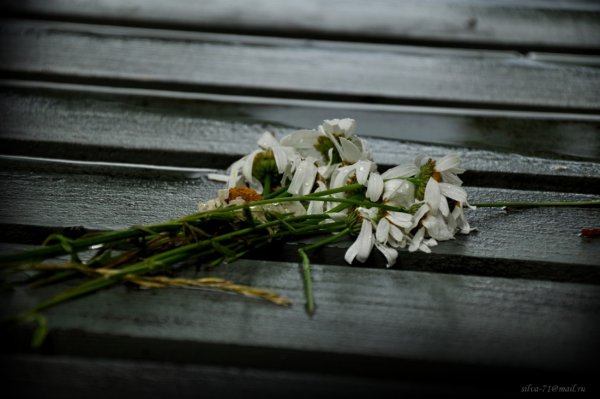 Чёрно-белая Эстетика