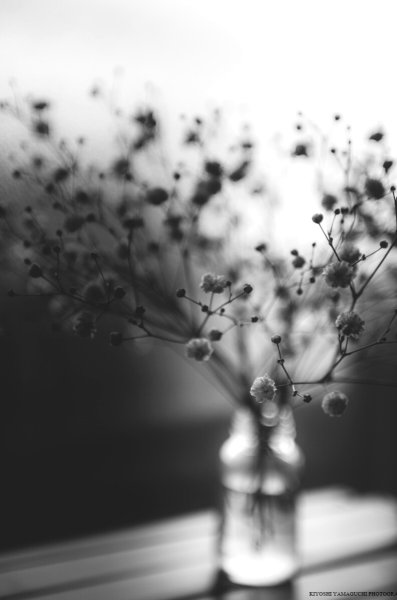 Человек и природа Эстетика